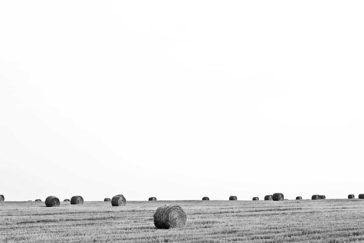 Étang du Bourbonnais — Étang du Bourbonnais