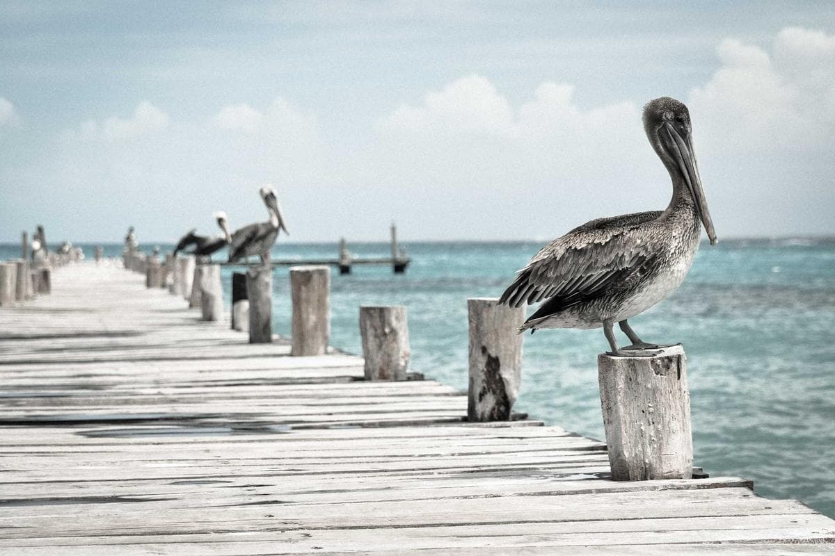 Lac des Cévennes